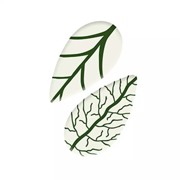 Gusto Dekor Çikolata Küçük Yaprak