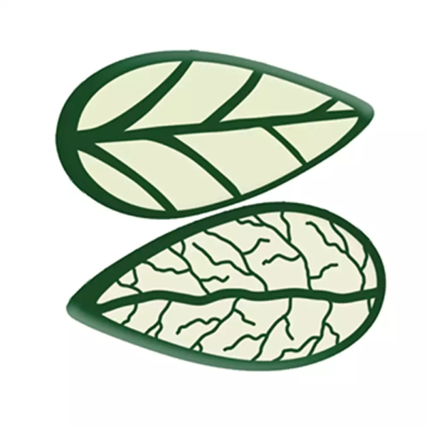 Gusto Dekor Çikolata Küçük Yaprak